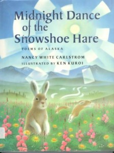 Midnight_Dance book cover image