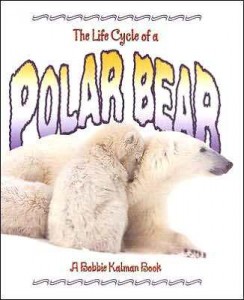 _polar_bear book cover imagea
